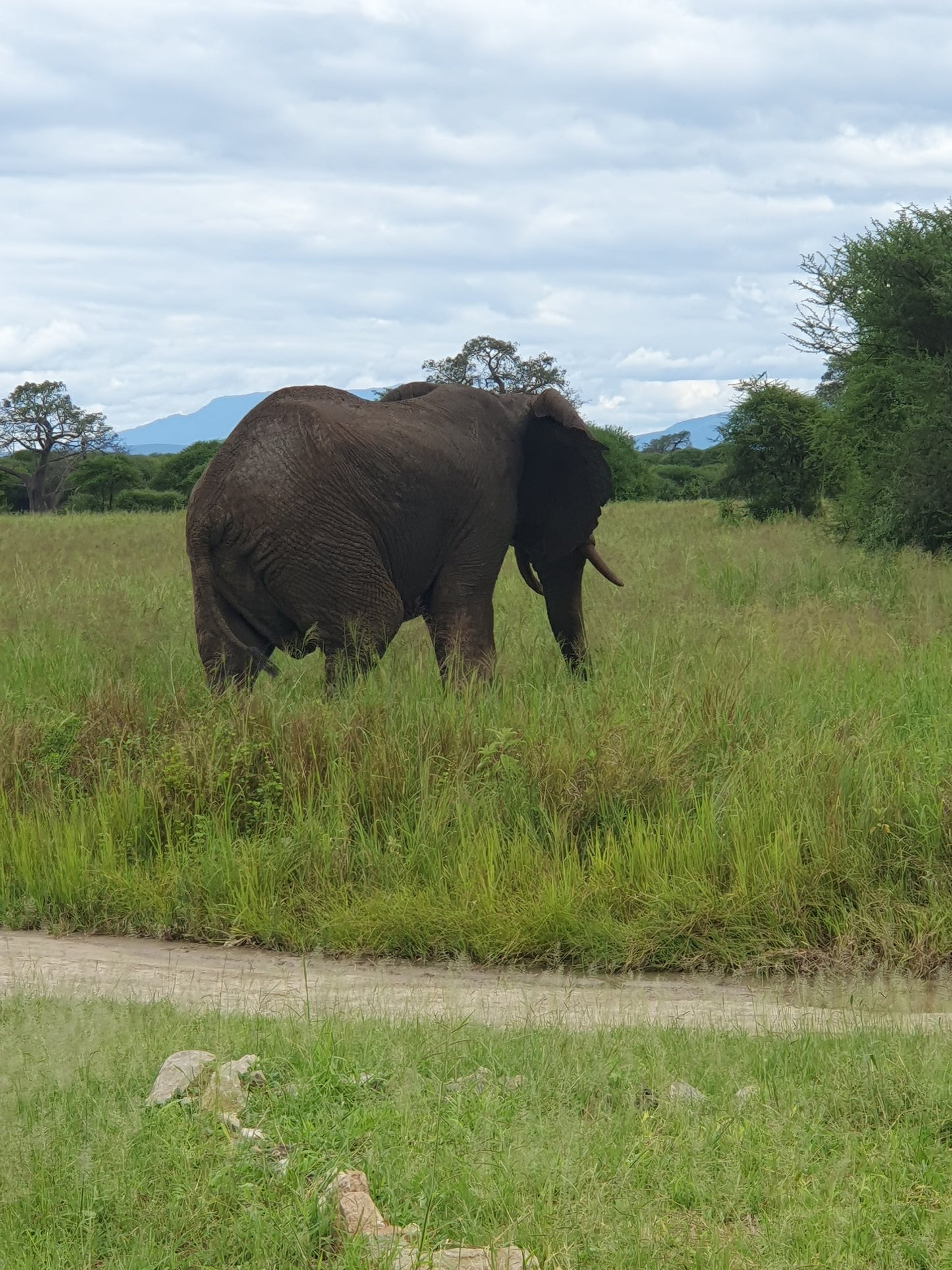 Gruppen-Traumurlaub in Tansania: Ferienhaus & Safari inklusive